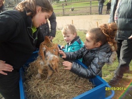Op naar de kinderboederij